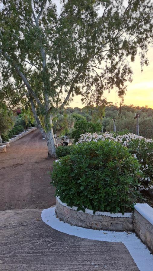 βlueview Holiday home *