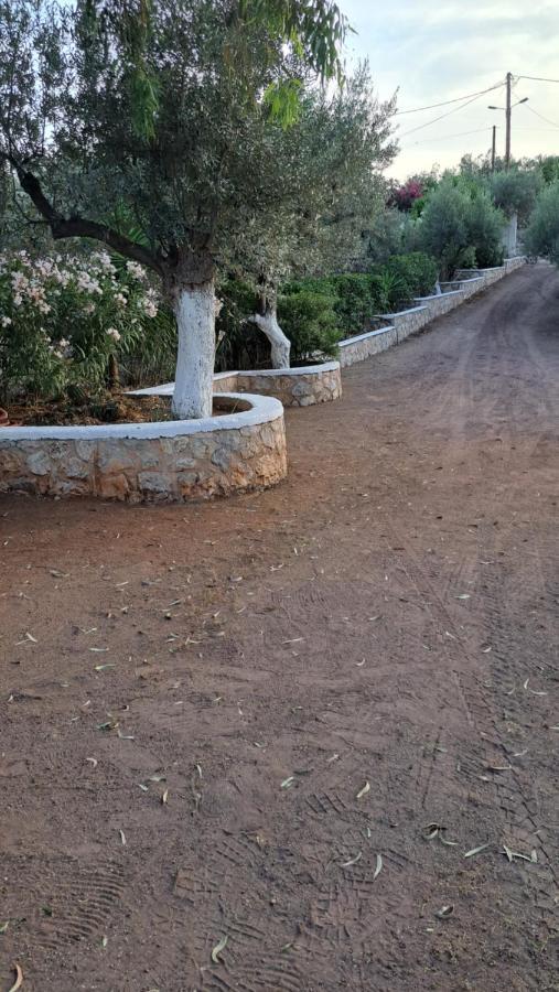 βlueview Holiday home Ermioni
