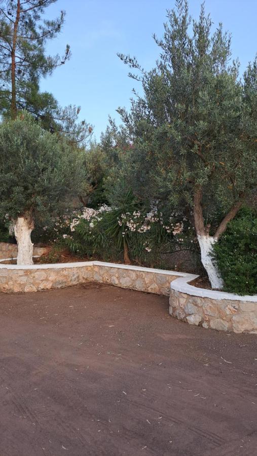 βlueview Holiday home Ermioni